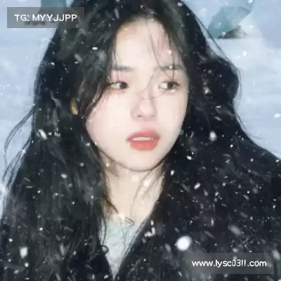 何鹰辉